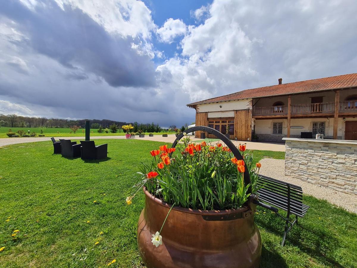 Domaine Du Cuiset -Gite Des Combles Villa Saint-Andre-sur-Vieux-Jonc Luaran gambar