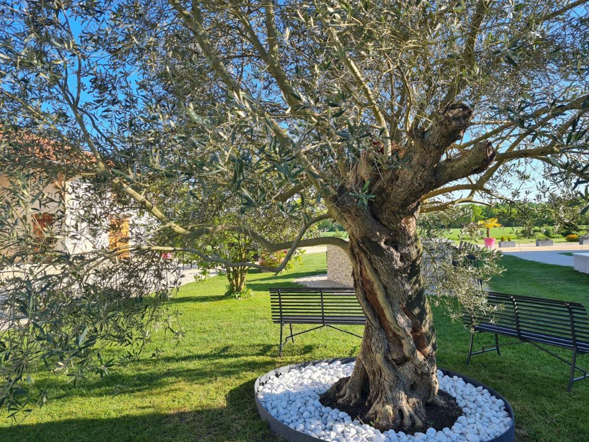 Domaine Du Cuiset -Gite Des Combles Villa Saint-Andre-sur-Vieux-Jonc Luaran gambar